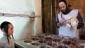 Illustrative photo of a kosher butcher slaughtering a chicken (photo credit: Miriam Alster/Flash90)