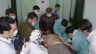 A victim of an alleged chemical attack is treated by doctors in Aleppo, Syria, on Tuesday, March 19, 2013. (photo credit: AP/SANA) A victim of an alleged chemical attack is treated by doctors in Aleppo, Syria, on Tuesday, March 19, 2013. (photo credit: AP/SANA)