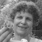 Diana Barshaw