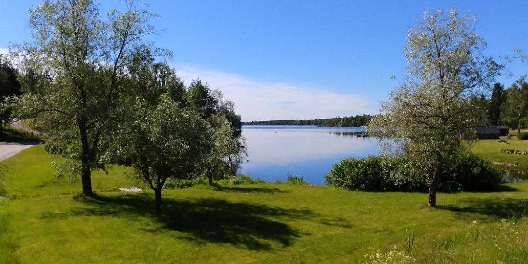 1. Grass and water